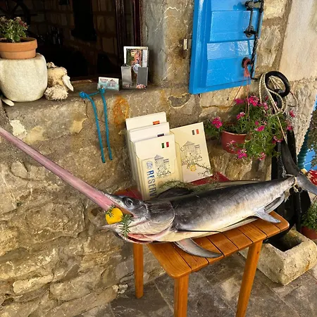 Appartement Studio Budva